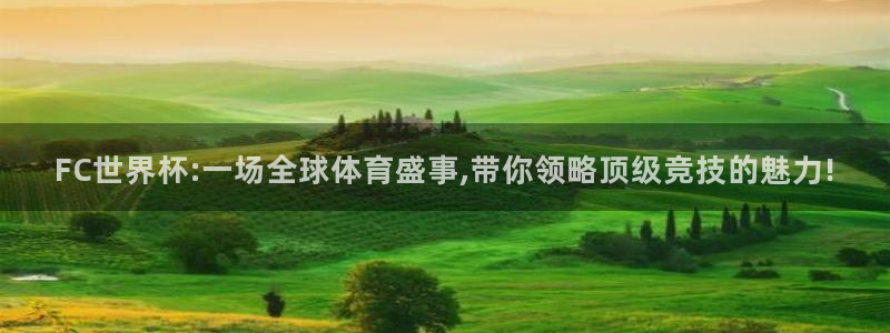 FC世界杯:一场全球体育盛事,带你领略顶