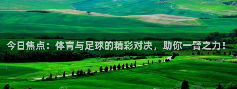 今日焦点：体育与足球的精彩对决，助你一臂