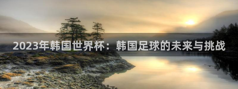 2023年韩国世界杯：韩国足球的未来与挑